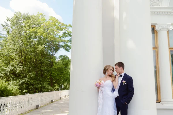 Magnifique couple de mariage câlin — Photo