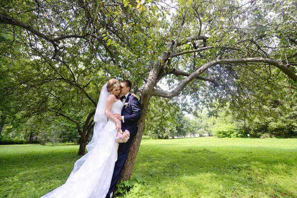 Όμορφη νύφη και το γαμπρό στο πάρκο — Φωτογραφία Αρχείου