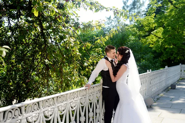 結婚式のカップルが公園でハグ — ストック写真