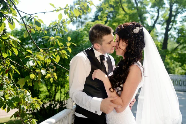 Casamento casal abraçando no parque — Fotografia de Stock