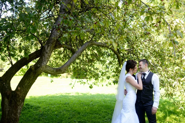 Mooie bruid en bruidegom in park — Stockfoto