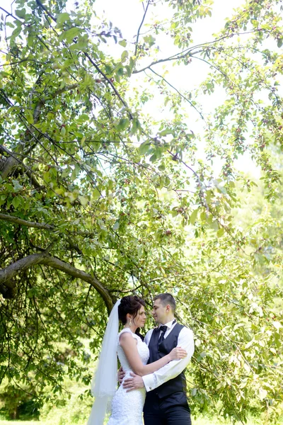 Bella sposa e sposo nel parco — Foto Stock