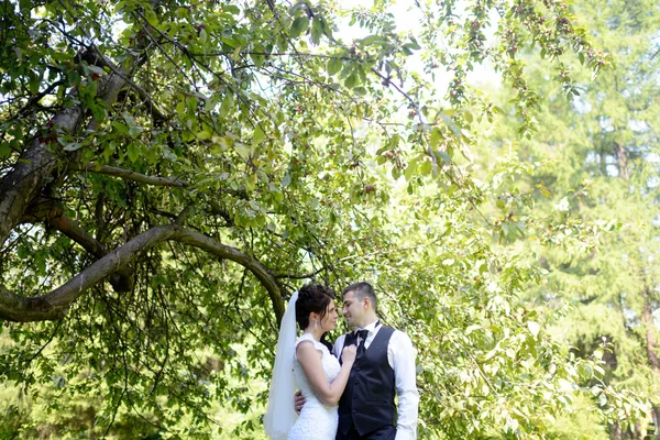 美丽的新娘和新郎在公园 — 图库照片