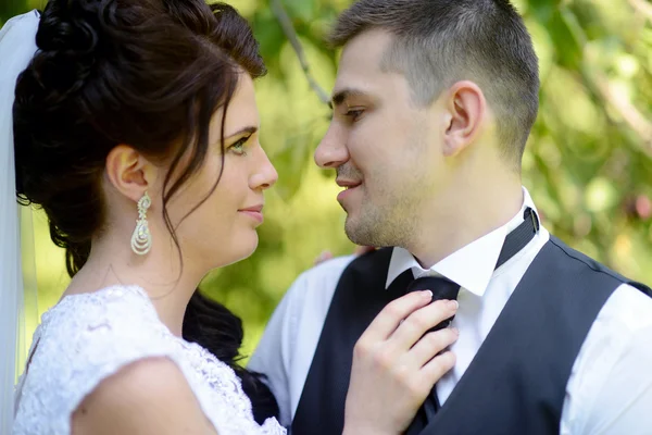 Vackra bruden och brudgummen i park — Stockfoto