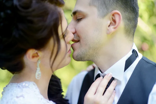 Beautiful bride and groom in park — Stock Photo, Image