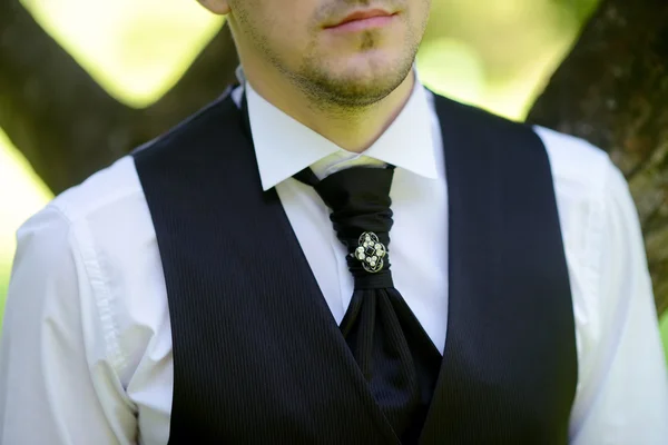 Handsome groom in suit in park — Stock Photo, Image