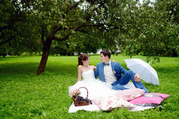 Красива весільна пара обіймається в парку — стокове фото