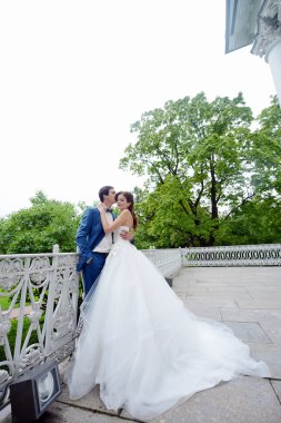 Güzel gelin ve damat sarılma