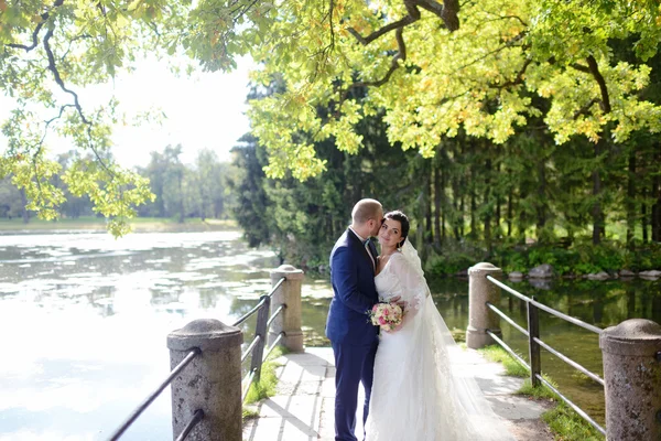 Szép esküvő házaspár, tó közelében — Stock Fotó