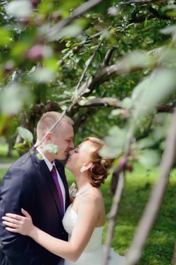 Parkta sarılma güzel düğün çifti