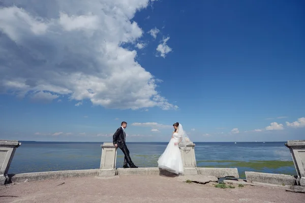 Matrimonio coppia in piedi vicino lago — Foto Stock