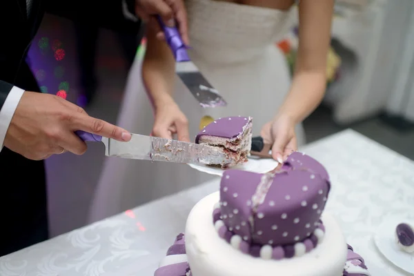 Bride and groom cutting wedding cake — Stock Photo, Image