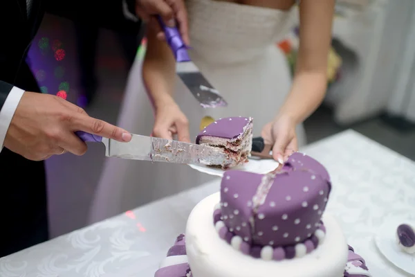 Noiva e noivo corte bolo de casamento — Fotografia de Stock