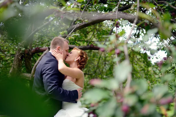 Beautiful wedding couple hugging in park — Stock Photo, Image