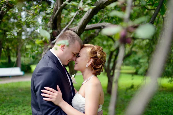 Piękny ślub para przytulanie w parku — Zdjęcie stockowe