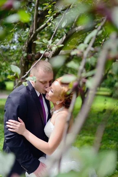 Vackra bröllopsparet kramas i park — Stockfoto