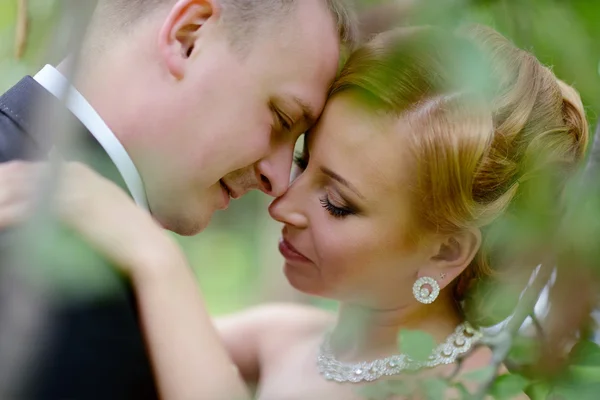 Schönes Hochzeitspaar umarmt sich im Park — Stockfoto