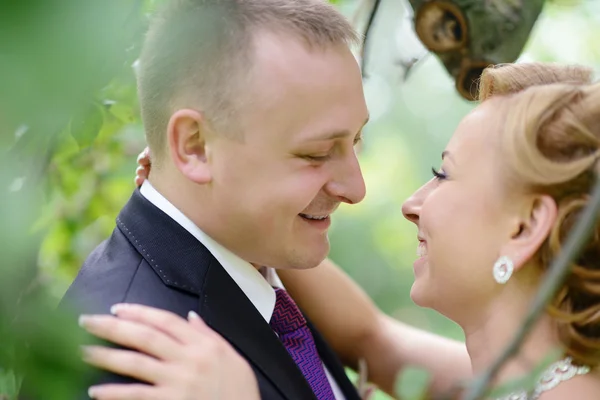 Belo casamento casal abraçando no parque — Fotografia de Stock