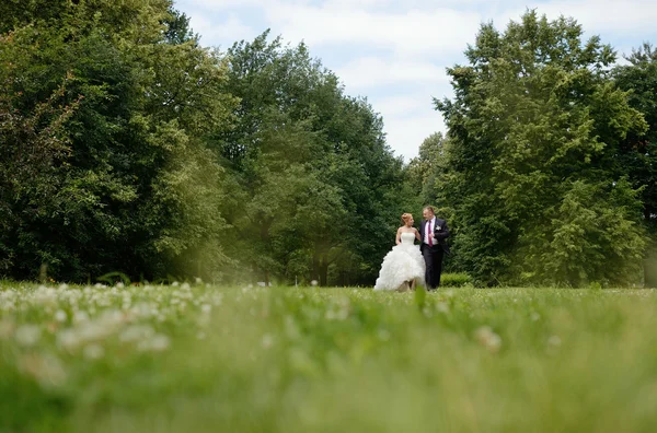 Bruidspaar wandelen in park — Stockfoto