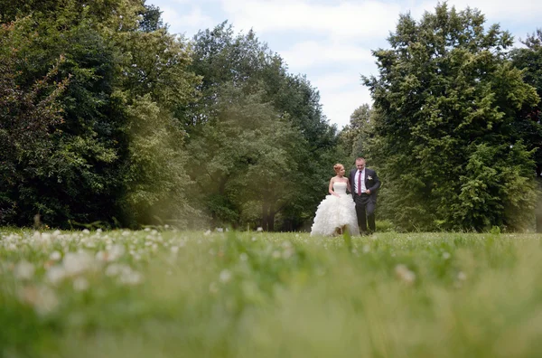 Matrimonio coppia a piedi nel parco — Foto Stock