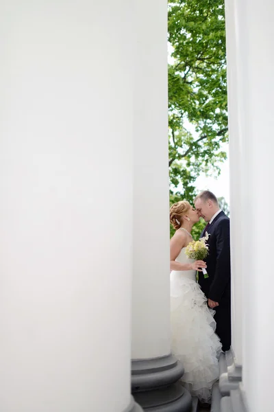 Schönes Hochzeitspaar umarmt sich im Park — Stockfoto