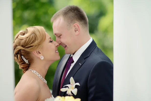 Hermosa pareja de boda abrazándose en el parque — Foto de Stock