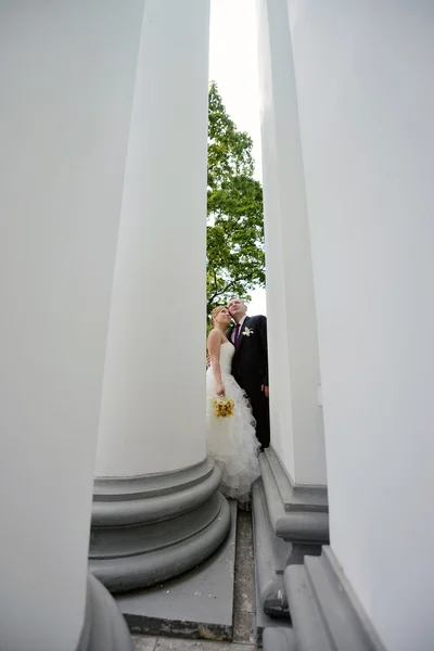 Belo casamento casal abraçando no parque — Fotografia de Stock