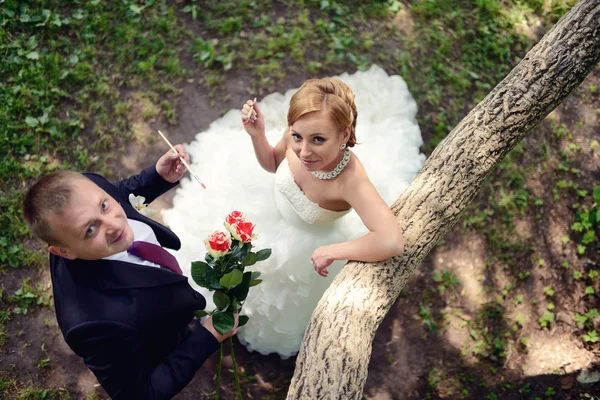 Beautiful wedding couple coloring flowers — Stock Photo, Image