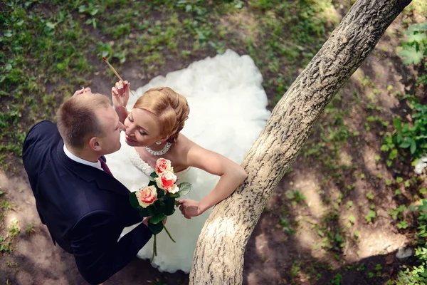 Beautiful wedding couple coloring flowers — Stock Photo, Image