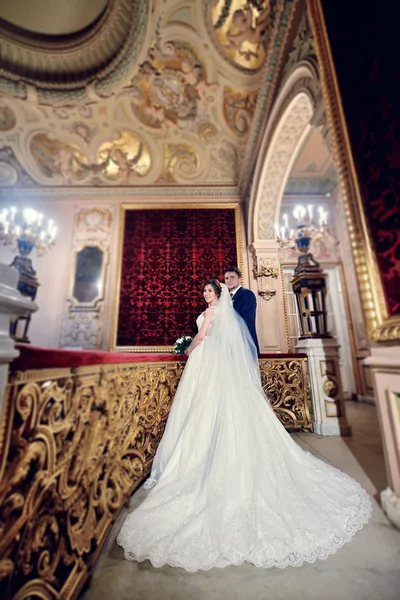 Schönes Hochzeitspaar im eleganten Interieur — Stockfoto