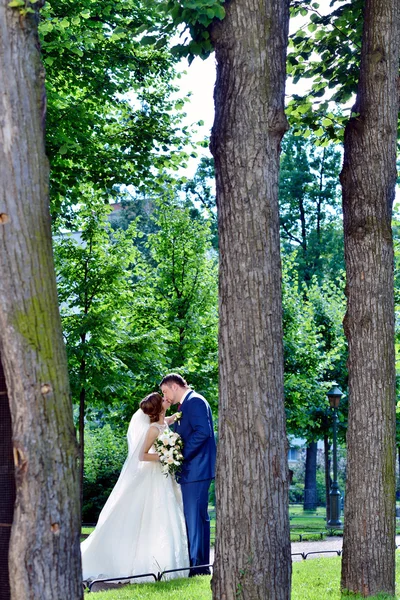 Belo casal de casamento no parque — Fotografia de Stock