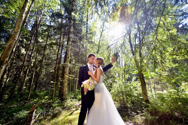 Schönes Hochzeitspaar umarmt sich im Park — Stockfoto