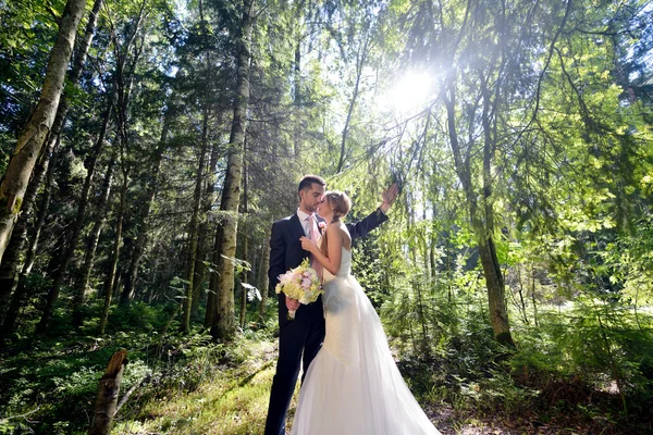 Schönes Hochzeitspaar umarmt sich im Park — Stockfoto