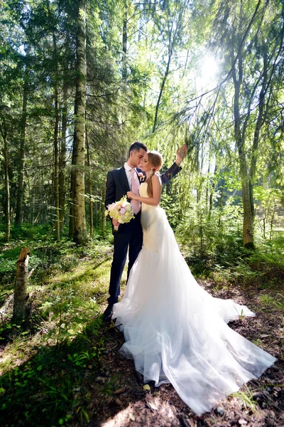 Schönes Hochzeitspaar umarmt sich im Park — Stockfoto