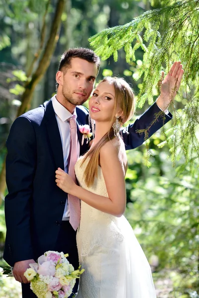 Belo casamento casal abraçando no parque — Fotografia de Stock