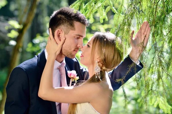 Schönes Hochzeitspaar umarmt sich im Park — Stockfoto