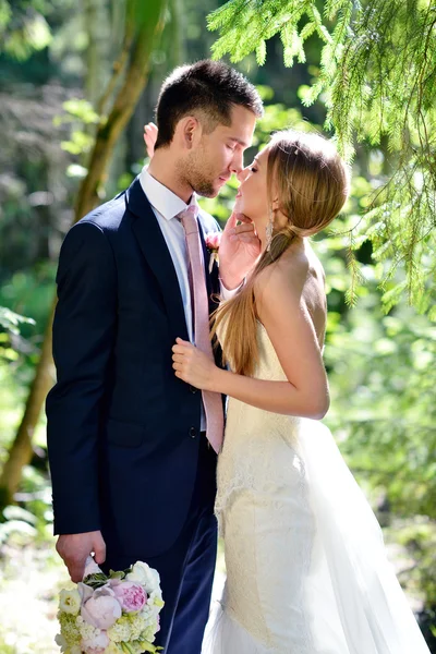 Schönes Hochzeitspaar umarmt sich im Park — Stockfoto