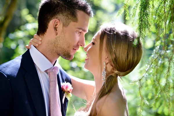 Hermosa pareja de boda abrazándose en el parque —  Fotos de Stock