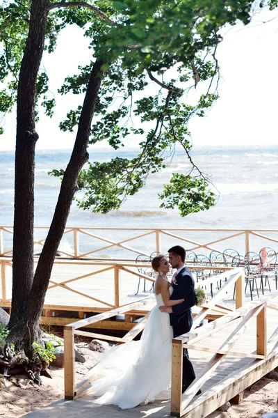 Schönes Hochzeitspaar umarmt — Stockfoto