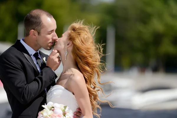 Krása nevěsta s ženichem v přírodě — Stock fotografie