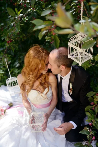 Bellezza Sposa con sposo in natura — Foto Stock