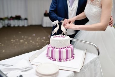 Gelin ve damat düğün pastasını kesiyor