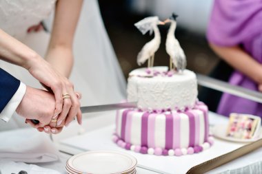 Gelin ve damat düğün pastasını kesiyor