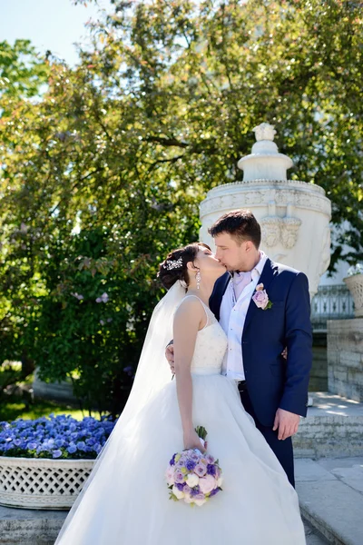 Casal de casamento beijando uns aos outros — Fotografia de Stock