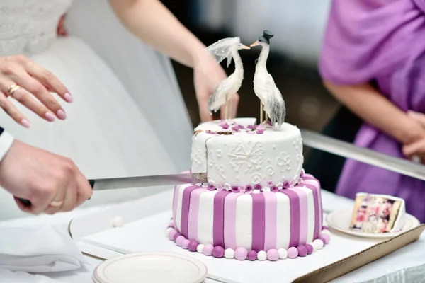 Braut und Bräutigam schneiden Hochzeitstorte — Stockfoto