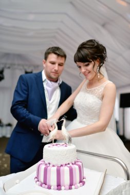 Gelin ve damat düğün pastasını kesiyor