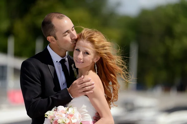 Güzellik gelinle damat doğada — Stok fotoğraf