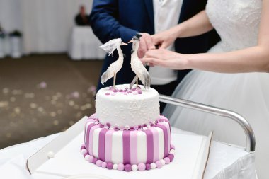 Gelin ve damat düğün pastasını kesiyor