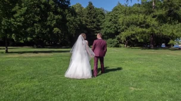 Bride and groom walking — Stock Video