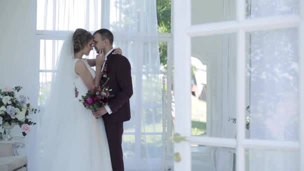 Sposa e sposo abbraccio — Video Stock